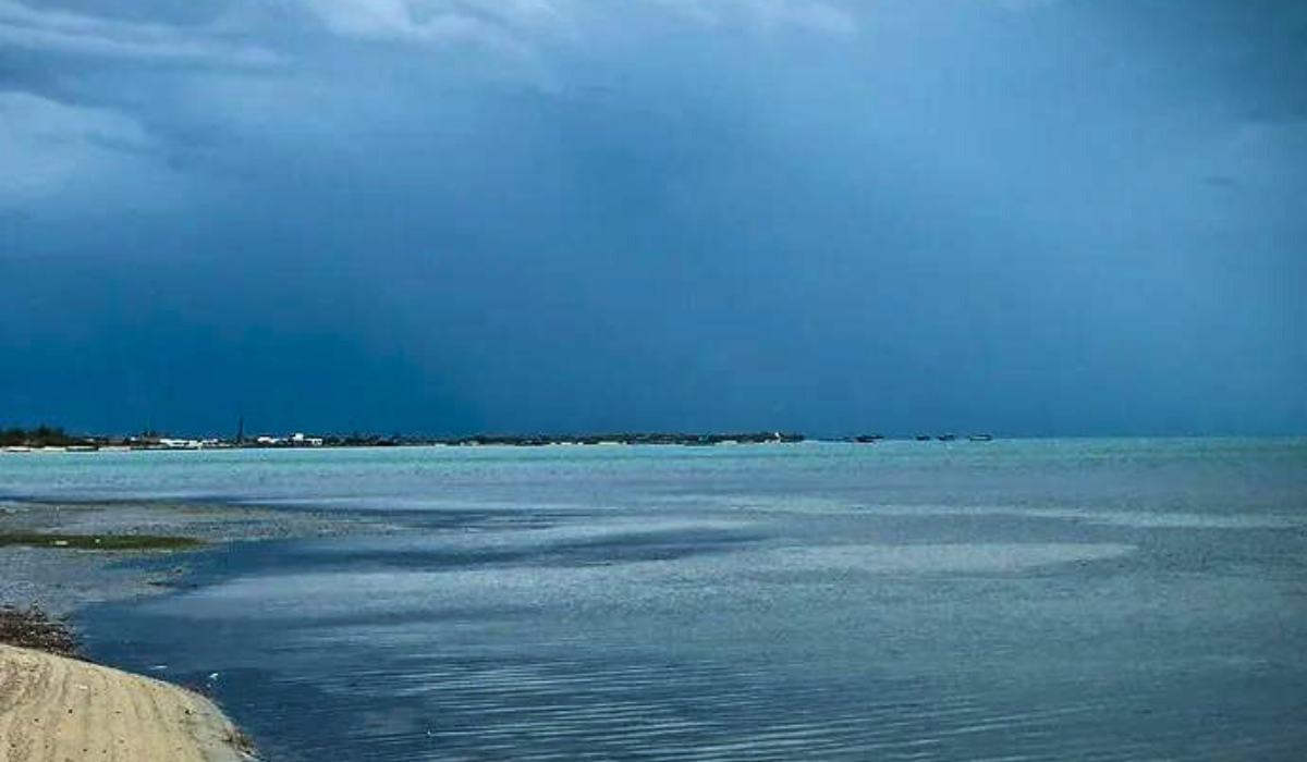  photo:Gulf of Mannar Biosphere Reserve